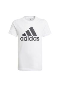 Koszulka z krótkim rękawem dziecięca Adidas. Długość rękawa: krótki rękaw. Długość: krótkie