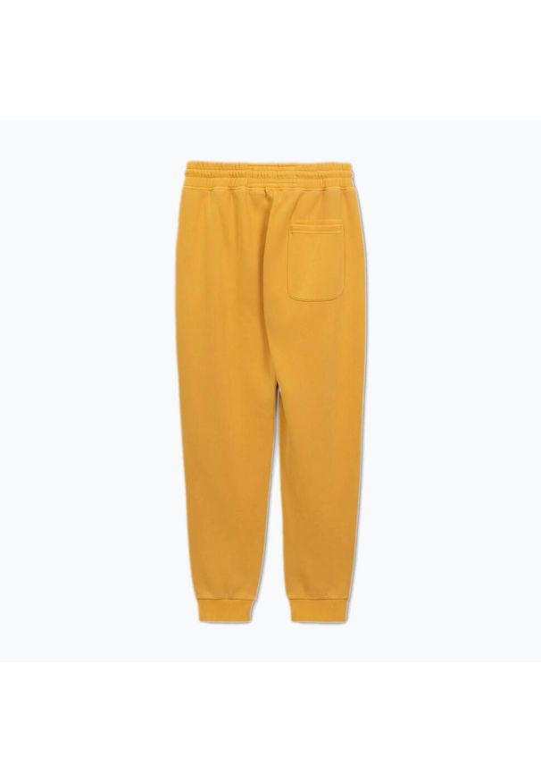 PITBULL - Spodnie męskie Pitbull Lancaster 2 Track Pants. Kolor: żółty