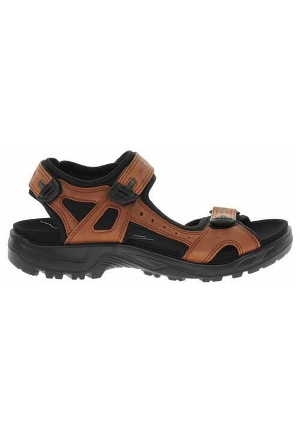 ecco - Buty trekkingowe męskie Ecco Offroad Sierra. Zapięcie: rzepy. Kolor: brązowy. Materiał: materiał, skóra, syntetyk