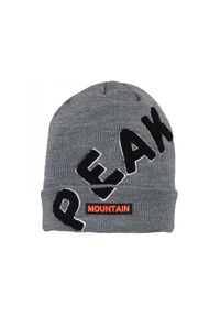 PEAK MOUNTAIN - Czapka Peak Mountain Bon-Marie. Kolor: szary. Sezon: zima. Styl: sportowy #1