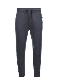 Ombre Clothing - Spodnie męskie dresowe joggery - grafitowe V5 OM-PASK-0142 - XXL. Kolor: szary. Materiał: dresówka. Styl: sportowy #9