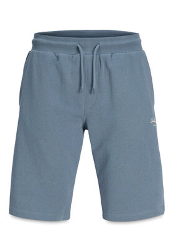 Jack & Jones Szorty sportowe Gordon 12288638 Niebieski Regular Fit. Kolor: niebieski. Materiał: bawełna. Styl: sportowy