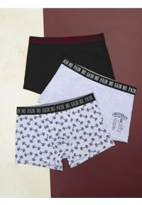 Sinsay - Bokserki Classic 3 pack - wielobarwny