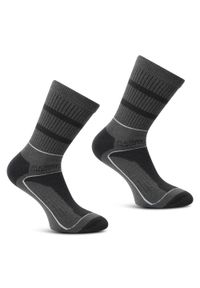 Regatta - Skarpety męskie Samaris 3Season 2-pak. Kolor: szary. Materiał: włókno. Sport: turystyka piesza #1