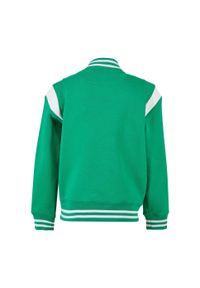 Urban Classics - Kurtka Męska Dla Chłopców. Kolor: zielony, wielokolorowy, brązowy