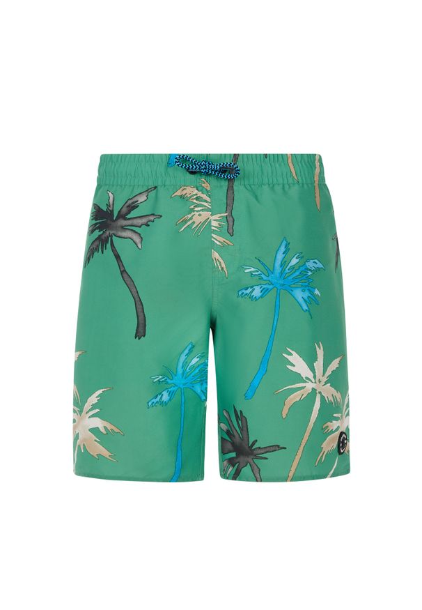 Spodenki kąpielowe dla dzieci Protest Brandon. Kolor: zielony