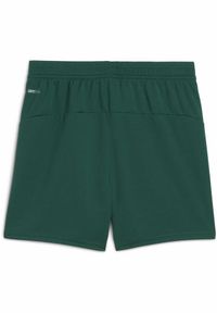 Puma - Młodzieżowe szorty Portugalia 2025 PUMA Blessing Green Sugared Almond Beige. Kolor: wielokolorowy, beżowy, zielony