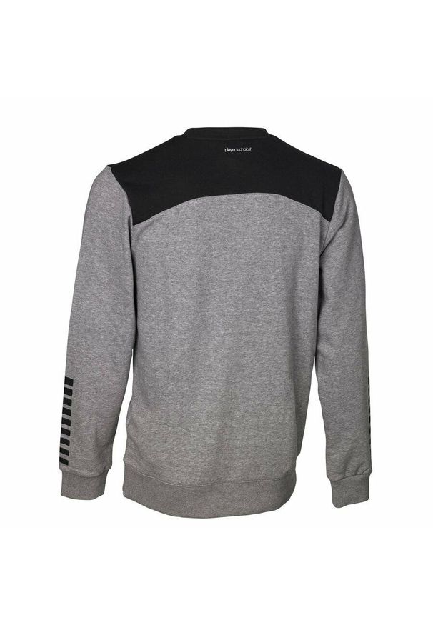 SELECT - Bluza dresowa męska Select Oxford Sweat bawełniana szara. Kolor: czarny, szary, wielokolorowy. Materiał: bawełna, dresówka. Sport: piłka ręczna