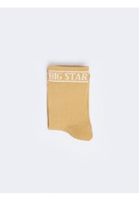 Big-Star - Skarpety damskie w prążek z napisem BIG STAR beżowe Marcolia 801. Kolor: beżowy. Materiał: materiał. Wzór: napisy, prążki #3