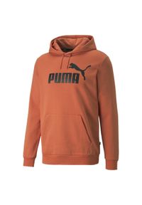 Bluza sportowa męska Puma ESS Big Logo Hoodie FL (s) Evening. Kolor: pomarańczowy
