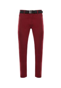 Born2be - Bordowe Spodnie Regular Z Paskiem Astanthe. Okazja: na co dzień. Kolor: czerwony. Materiał: bawełna. Wzór: aplikacja. Styl: casual, klasyczny #2