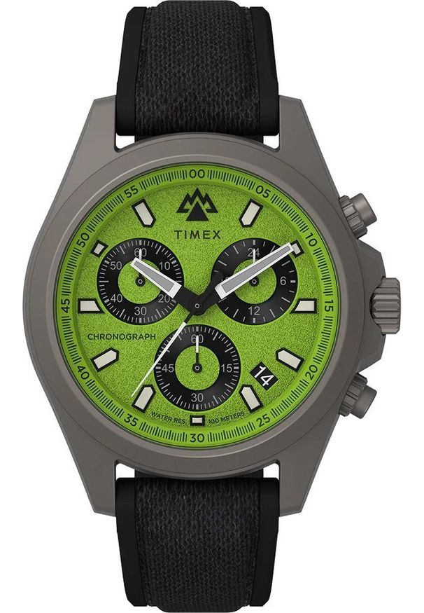 Zegarek Timex Zegarek męski Timex TW2V96400 szary. Kolor: szary