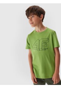 4f - T-shirt z nadrukiem chłopięcy. Kolor: brązowy, oliwkowy, wielokolorowy. Materiał: bawełna. Wzór: nadruk