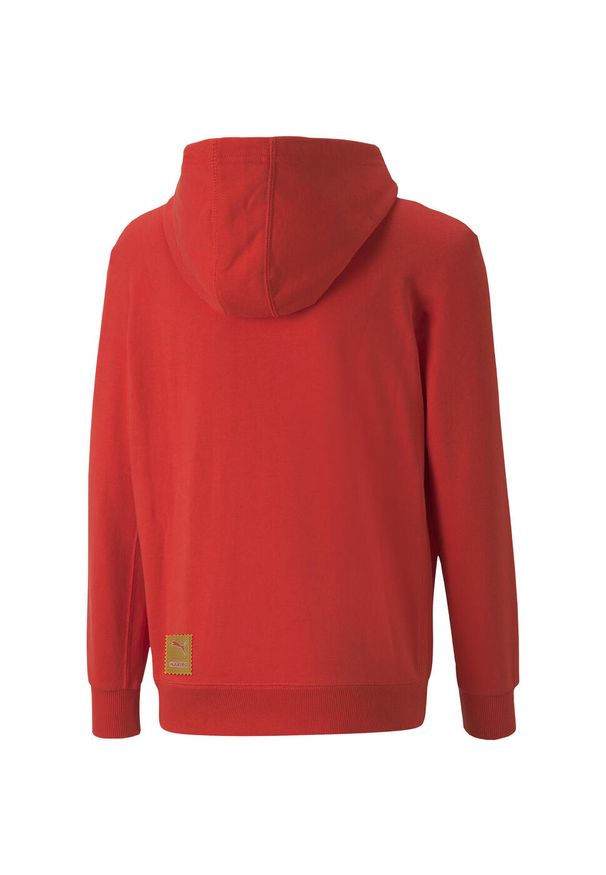 Bluza z kapturem Puma Hoodie, Dzieci. Typ kołnierza: kaptur. Kolor: czerwony. Materiał: materiał, bawełna. Sport: joga i pilates
