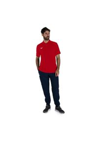 Koszulka T-Shirt męski Speedo Club Dry Polo. Typ kołnierza: polo. Kolor: czerwony