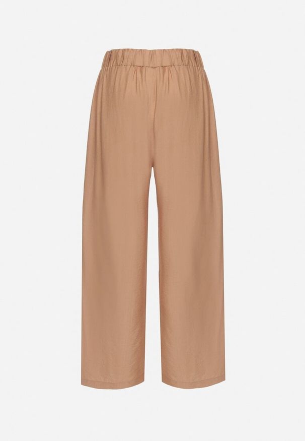 Born2be - Jasnobrązowe Wiskozowe Szerokie Spodnie Ozdobione Kokardą Elliluria. Okazja: na co dzień. Stan: podwyższony. Kolor: brązowy. Materiał: wiskoza. Wzór: aplikacja. Styl: casual, elegancki