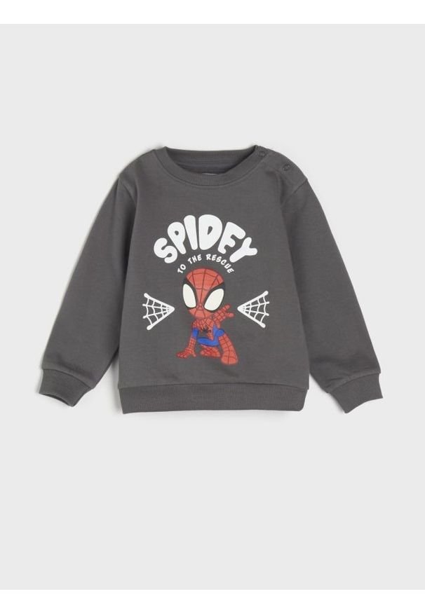 Sinsay - Bluza SPIDERMAN - szary. Kolor: szary. Długość: długie. Wzór: motyw z bajki