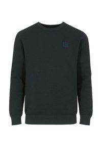 Ochnik - Zielony bawełniany sweter męski z logo. Kolor: zielony. Materiał: bawełna. Długość: długie. Wzór: aplikacja #2