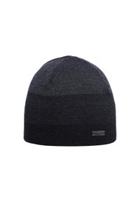 EISGLUT - Czapka zimowa męska Eisglut Renton Rewoolife. Kolor: szary. Sezon: zima. Styl: sportowy #1