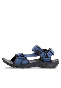 Jack Wolfskin Sandały Lakewood Ride Sandal M 4019021 Granatowy. Kolor: niebieski. Materiał: materiał #4