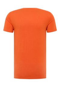 Męski T-Shirt Mustang Style Austin Koi 1016494 7166 #9