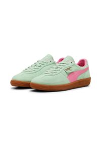 Trenerzy Puma Palermo. Kolor: zielony. Materiał: syntetyk, tkanina, skóra. Sezon: lato. Sport: piłka nożna, turystyka piesza #2
