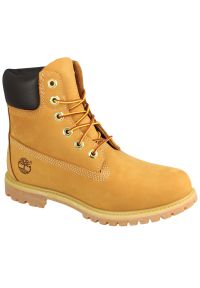 Buty Timberland 6 Inch, Beżowy, Kobiety. Kolor: żółty #1