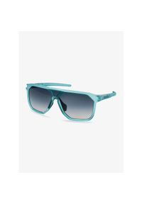 Okulary przeciwsłoneczne Dynafit Traverse Sunglasses - puritan grey/blueberry. Kolor: zielony