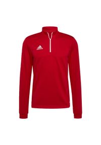Bluza piłkarska męska Adidas Entrada 22 Training Top. Kolor: czerwony. Materiał: poliester. Sport: piłka nożna