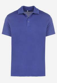 Born2be - Niebieska Koszulka Polo z Krótkim Rękawem Wakeish. Typ kołnierza: polo. Kolor: niebieski. Materiał: tkanina. Długość rękawa: krótki rękaw. Długość: krótkie #6