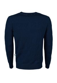 Plein Sport Sweter | MIPSIT180685 | Mężczyzna | Granatowy. Okazja: na co dzień. Kolor: niebieski. Materiał: wełna. Styl: sportowy #6