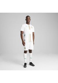 Puma - Męskie szorty Senegal 2025 PUMA White Sport Green. Kolor: biały, zielony, wielokolorowy. Wzór: aplikacja