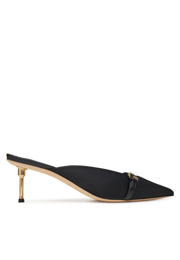 Elisabetta Franchi Klapki SA-33L-52E2 Czarny. Kolor: czarny. Materiał: skóra, zamsz