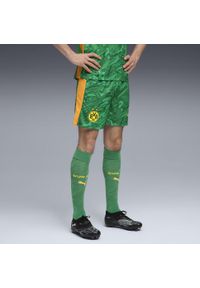 Puma - Męskie szorty bramkarskie Borussia Dortmund 25/26 PUMA. Kolor: zielony, pomarańczowy, wielokolorowy, żółty. Materiał: tkanina. Sport: fitness