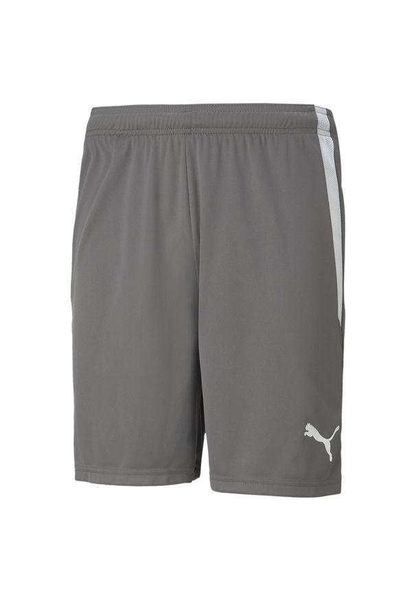 Spodenki Puma Teamliga 13 Dorosłych. Kolor: szary, wielokolorowy, biały. Sport: piłka nożna