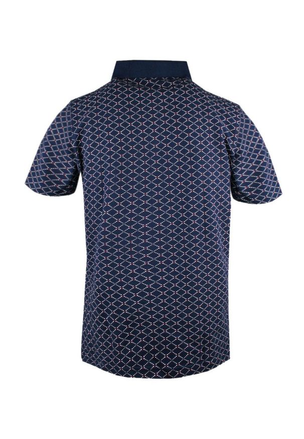 Koszulka Polo - Męska - Pako Jeans - Granatowa, Drobny Wzór. Okazja: na co dzień. Typ kołnierza: polo. Kolor: niebieski. Materiał: bawełna. Styl: casual