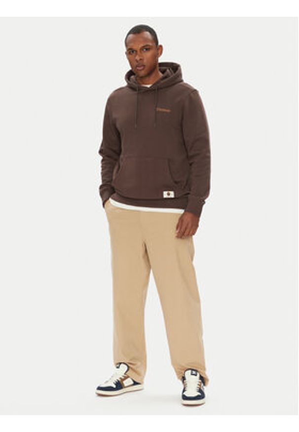 DC Shoes Chinosy Worker Baggy ADYNP03097 Beżowy Baggy Fit. Kolor: beżowy. Materiał: bawełna