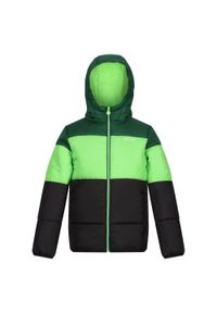 Regatta - Lofthouse VII dziecięca turystyczna kurtka zimowa ocieplana. Kolor: zielony. Materiał: poliester. Sezon: zima