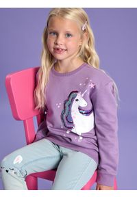 Sinsay - Bluza z jednorożcem - fioletowy. Kolor: fioletowy. Długość rękawa: długi rękaw. Długość: długie. Wzór: nadruk #1