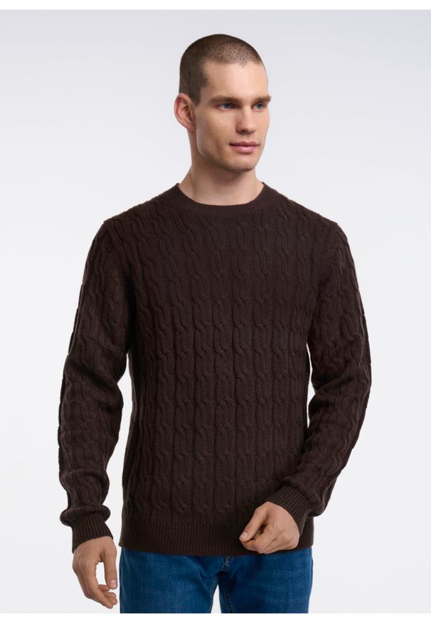 Ochnik - Sweter męski. Kolor: brązowy. Materiał: materiał. Długość: długie. Wzór: ze splotem. Sezon: jesień
