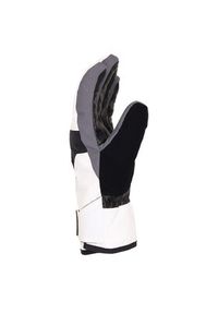 DC Shoes Rękawice narciarskie Franchise ADYHN03030 Biały. Kolor: biały. Materiał: syntetyk. Sport: narciarstwo #2
