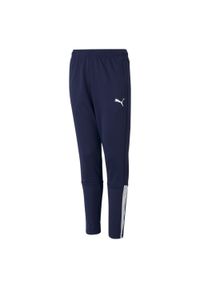 Puma - Spodnie piłkarskie dla dzieci PUMA Teamliga Training. Kolor: niebieski, wielokolorowy, biały. Sport: piłka nożna #1
