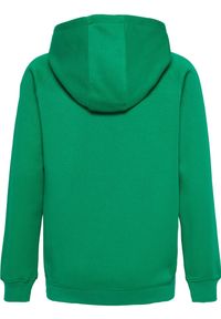 Bluza z kapturem dla dzieci Hummel Red Classic. Typ kołnierza: kaptur. Kolor: zielony