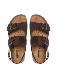 Geox Sandały U Sandal Ghita A U159VA 00032 C6024 Brązowy. Kolor: brązowy. Materiał: skóra, nubuk