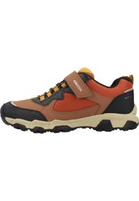 Geox - Buty GEOX J MAGNETAR Brązowy. Kolor: brązowy. Materiał: syntetyk, tkanina. Sport: turystyka piesza
