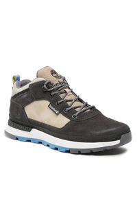 Timberland Sneakersy Field Trekker Low TB0A5SGUW081 Szary. Kolor: szary