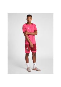 Koszulka do piłki nożnej męska Hummel hml LEAD. Kolor: czerwony, różowy, wielokolorowy. Sezon: lato