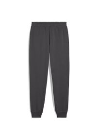 Spodnie Puma Ess No. 1 Logo Sweatpants Fl Cl S, Dla obu płci. Kolor: szary. Materiał: materiał, bawełna. Sport: fitness