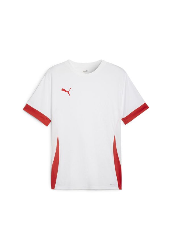 Koszulka Puma TeamGoal. Kolor: biały. Sport: piłka nożna