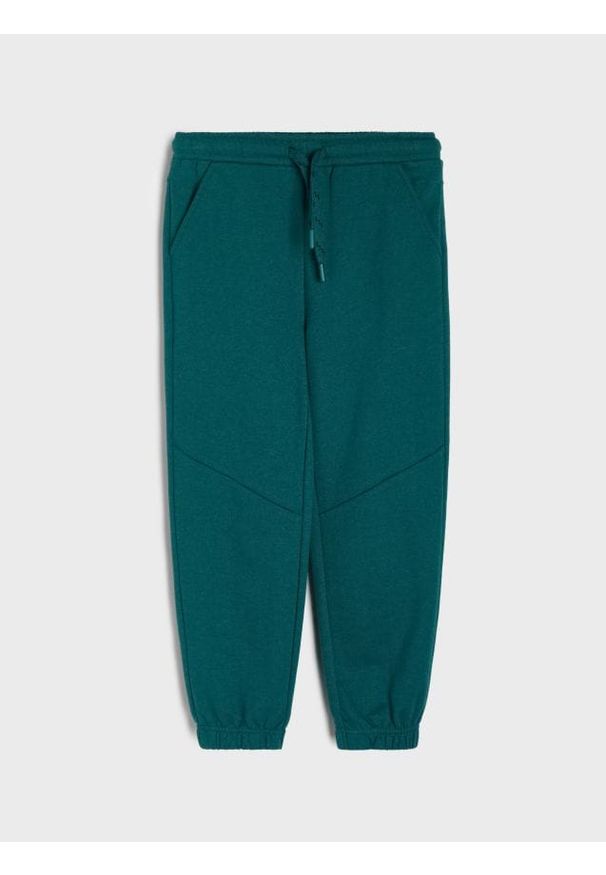 Sinsay - Spodnie dresowe jogger - zielony. Kolor: zielony. Materiał: dresówka